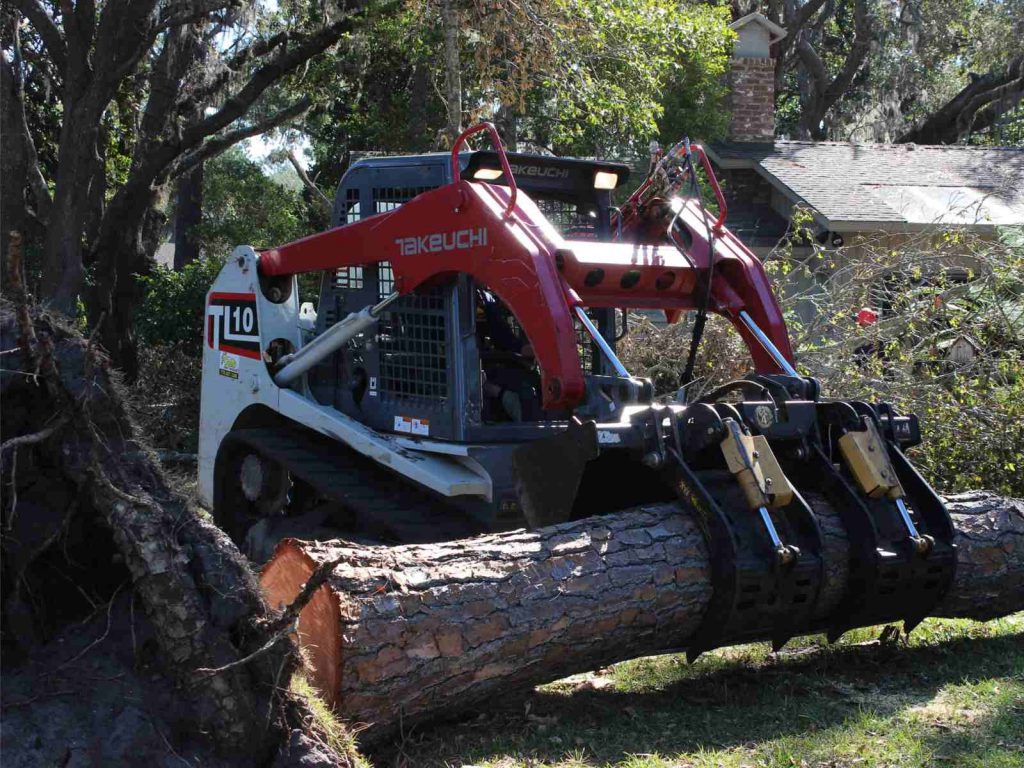 Hurricane Matthew Tree Removal