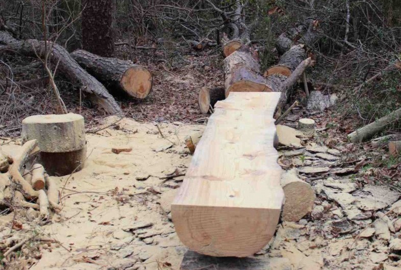 Pine Log Section 2 half done